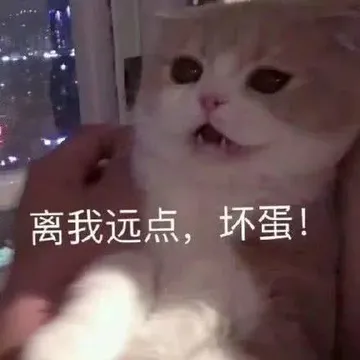 离我远点.坏蛋!