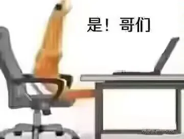 虾头是哥们儿
