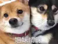 姐妹情深
