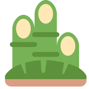 Pine decoration