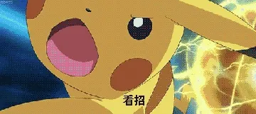 看招(皮卡丘)
