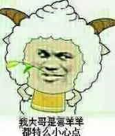 我大哥是喜羊羊.都特么小心点