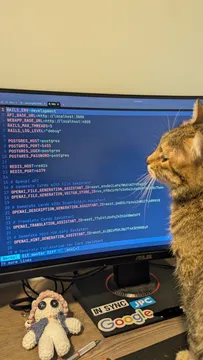 Cat Rating Env