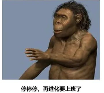 停停停，再进化要上班了