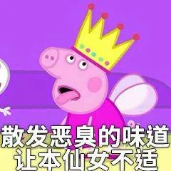 散发恶臭的味道