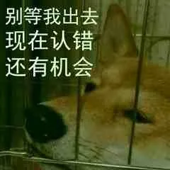 柴犬斗图表情包
