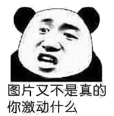图片又不是真的，你激动什么？