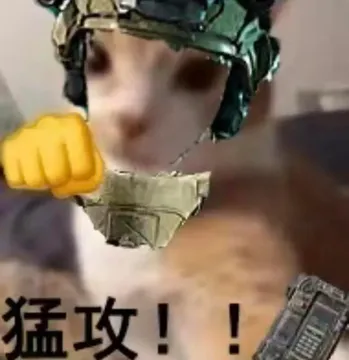 你有哪些好玩的《三角洲行动》表情包?