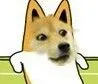 doge搞高姿势