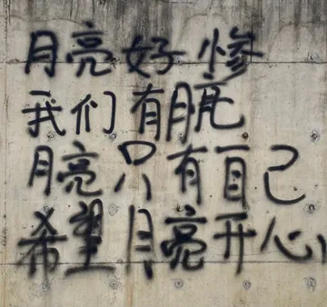 月亮好惨我们有パ有己希望亮开(标语表情包)