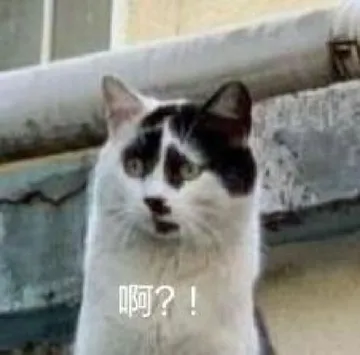 啊？！