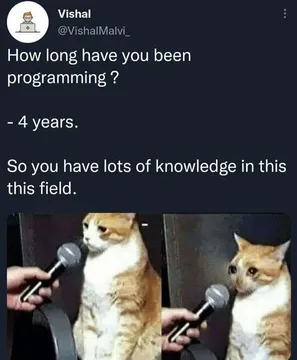 Four Years Of Knowledge And Still Internally Screaming
