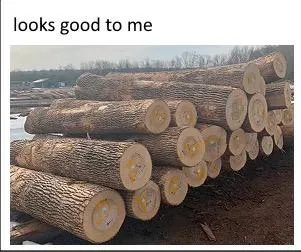 Asked Me To Check The Logs