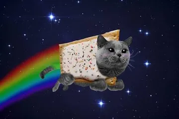 Nyan cat