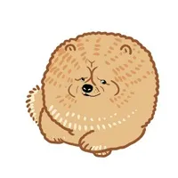 灰色狗狗