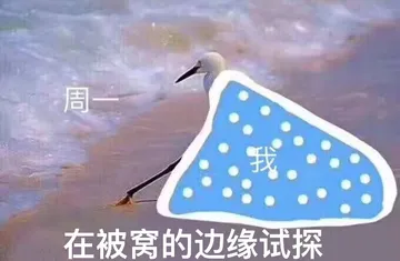 周一 memes