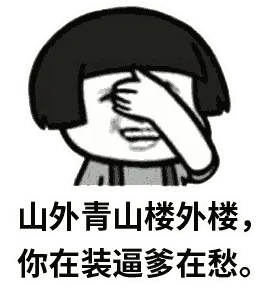 山外青山楼外楼，你在装逼爹在愁。