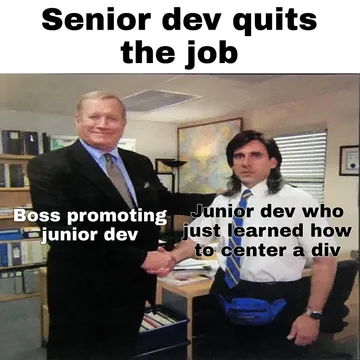 Senior Dev Quits, Junior Dev Promoted To Disaster