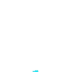 大写的傻