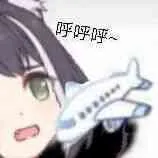 飞机呼呼呼