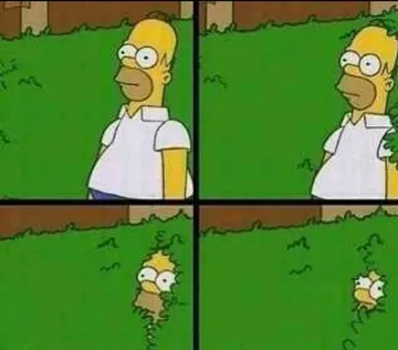 Homer Simpson Nope