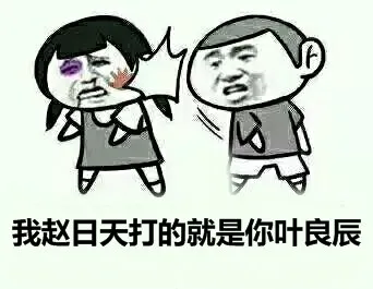 我赵日天打的就是你叶良辰