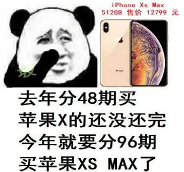 运行分48期买苹果X的还没还完.今年就要分96期买苹果XS MAX了