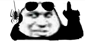 我这有蜘蛛