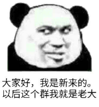 大家好，我是新来的。以后这个群我就是老大（熊猫人教皇）