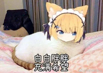白白胖胖.充满希望!