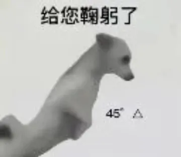 给您鞠躬了45A