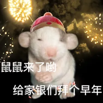 鼠鼠来了哟给家银们拜个早年