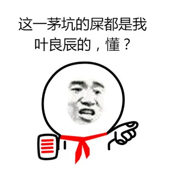 这一茅坑里的屎都是我叶良辰的，懂？