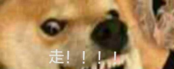 狗子：走！！！！
