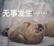 无事发生