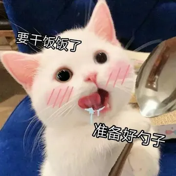 要干饭了 准备好勺子