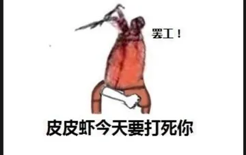 皮皮虾今天要打死你(罢工!)