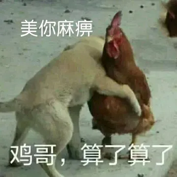 美你麻痹鸡哥.算了算