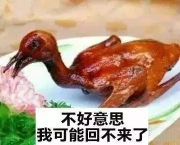 不好意思，我可能回不来了