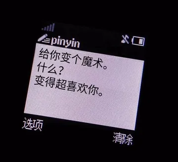 土味情话