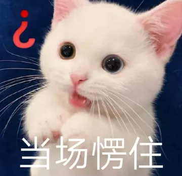 当场愣住
