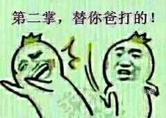 第二掌，替你爸打的
