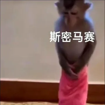 斯密马赛(猴子表情包)