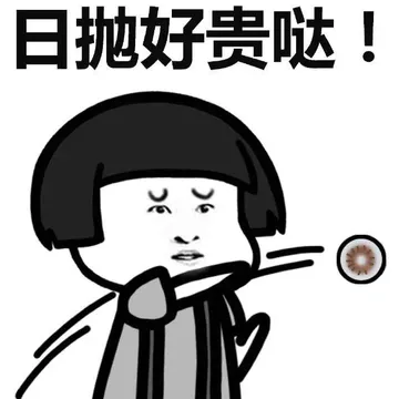 日抛好贵哒！