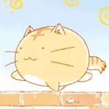小东西走路