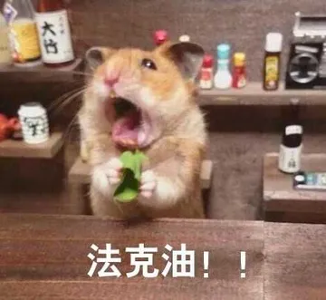 法克油!!