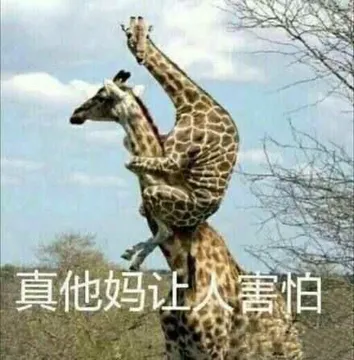 真他妈让人害怕（长颈鹿骑脖子表情包）