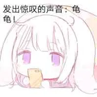 发出惊叹的声音：龟龟！