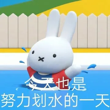 天也是努力划水的一天