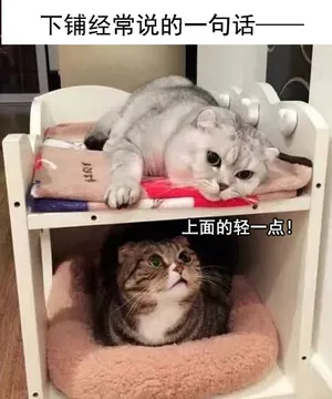 学校宿舍里的日常，和舍友的对话简直了
